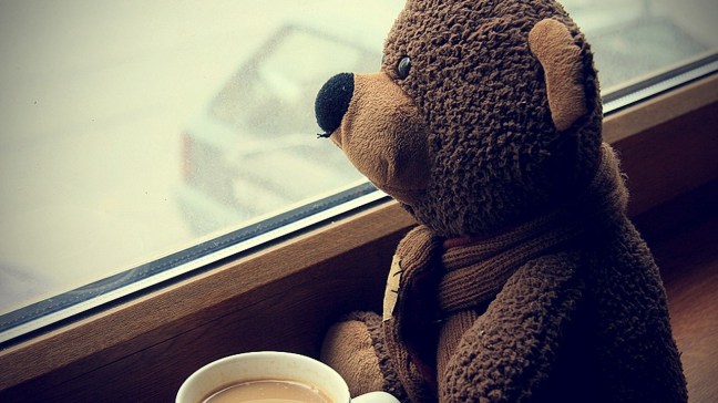 teddy_bear_toy_cup_coffee_window_expectations_mood_54334_1600x1200-1280x720