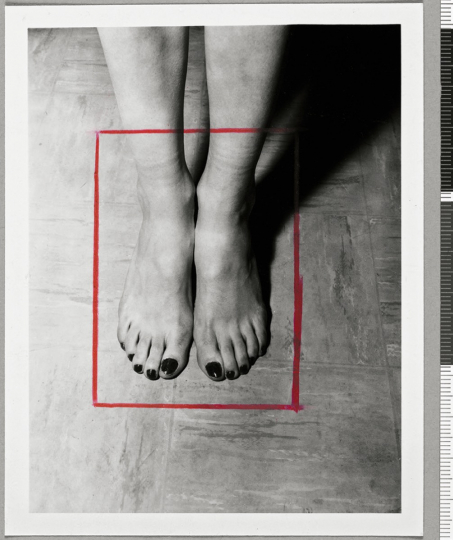 Rétrospective Sébastien Lifshitz.jpg