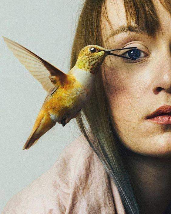 FB_IMG_1589441884289